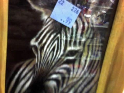 zebra with price on its head