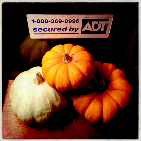 pumpkin security