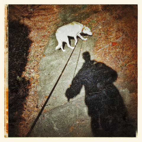 beyond the shadow of a dog