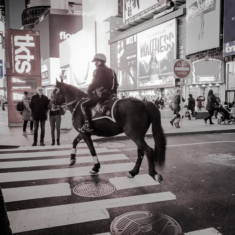 mixed use pedestrian/equestrian crossing, times square