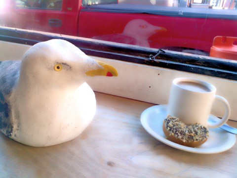 despite the anthropomorphized act of (self-perceived) kindness, the windshield of geno's pick-up truck continued to be used as an in-flight toilet