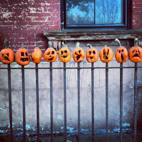 on the fence, kane st., b'klyn, ny