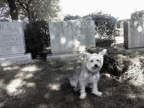 sunday in the park with george (and annie) and judi