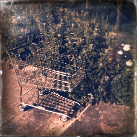 abandoned cart