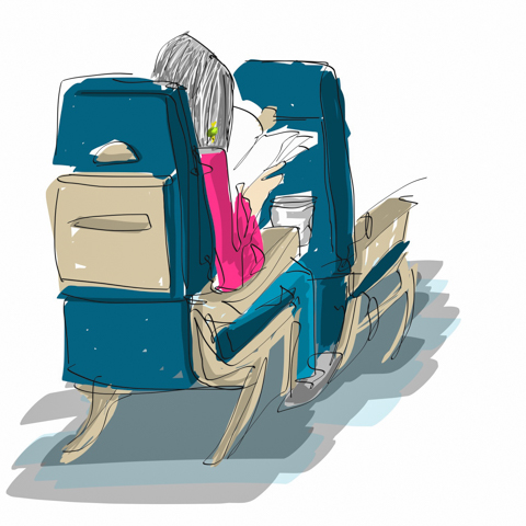 seat 9a flies through her novel